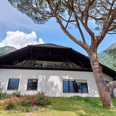Villa Pinie Apt 1 Терлано Экстерьер фото